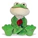 Shining Stars: Valentine Frog