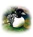 Common Loon - Audubon Plush Bird (Authentic Bird Sound)