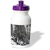 Scenes from the Past Magic Lantern Slides - Wawaon Tree at Maraposa Grove Yosemite National Park - Water Bottles