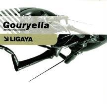 Gouryella - Ligaya (Ferry Corsten Remix) Lyrics - Zortam Music
