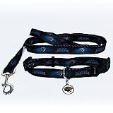 Jacksonville Jaguars Dog Collar & Leash Set