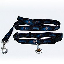 Jacksonville Jaguars Dog Collar & Leash Set