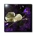 A Heart Of Gold - lilac, purple, pink, flower, flowers, morning glory, ipomoea - 12 Inch Glass Tile