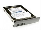 Axiom 80GB Hard Drive NEC Versa