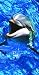 Tropical Print Beach Towel 30x60 - Laughing Dolphin Design - 3 Towels