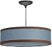 Shade Finish:Orange, Wiring:Fifteen Foot Swag Cord and Plug, Light Bulb:(2)50w A15 Med F Incand 
Featuring mid-twentieth century styling, the Broadway two-light pendant is available with either 
Flax White, Green, Orange or Blue linen shades with contrasting trim.
