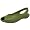 Parrot Green