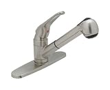 Styles 8 Satin Nickel Pull-Out Kitchen Faucet