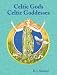 Health & Personal Care : Celtic Gods Celtic Goddesses by Stewart, R J (BCELGOD)