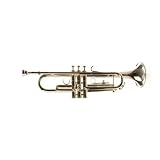 Vinci by Washburn VTS Trumpet with Case and Accessories - Silver Plated