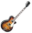 Johnson Delta Rose Archtop Electric Guitar