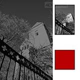 Hoya 77mm Red #25 Multi Coated Glass Filter