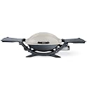 280-Square-Inch 12000-BTU Gas Grill