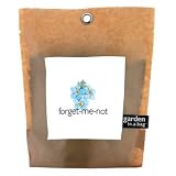 Garden In A Bag - Forget-Me-Not