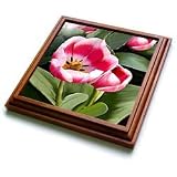 Flowers - Tulips - Trivets
