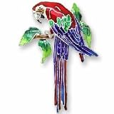 Clearly Charming Greenwing Macaw Sterling Silver and Enamel Pin