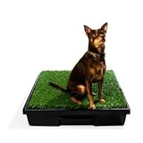 Pet Loo Indoor Dog Yard, Small