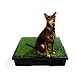Pet Loo Indoor Dog Yard, Small