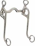 STA-BRITE Stainless Steel Walking Horse Curb Bit - Stainless Steel - 5
