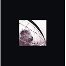 Vs. & Vitalogy 3 CD Deluxe Edition (Featuring Live At The Orpheum, Boston MA)