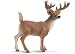 Schleich White-tailed Buck