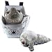Star Wars Clone Wars Rotta the Hutt Back Buddy_s-1