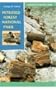 Petrified Forest National Park: A Wilderness Bound in Time