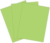 Roselle Vibrant Construction Paper, 50ct, 9 x12 Inches, Spring Green (CON5691250)