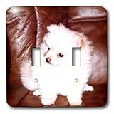 Dogs Pomeranian - White Pomeranian - Light Switch Covers - double toggle switch