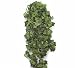 48 Inch Boston Ivy Bush-fire Retardant