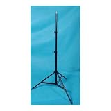 A Pair of Heavy Duty 10 ft Light Stands