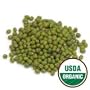 Organic Sprouting Seeds Mung Bean 1 Pound - Todd's Seeds