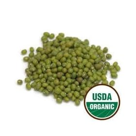 Organic Sprouting Seeds Mung Bean 1 Pound - Todd's Seeds