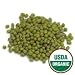 Organic Sprouting Seeds Mung Bean 1 Pound - Todd's Seeds