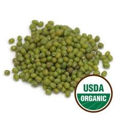 Organic Sprouting Seeds Mung Bean 1 Pound - Todd's Seeds