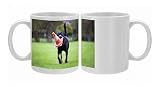Dog - Rottweiler - at dog training school. Carrying traffic cone in mouth Photo Mugs