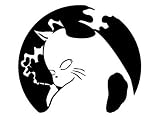 MARS16「うる星やつら[コタツネコ]（半袖）」Ｔシャツ めぞん一刻 [DVD]
