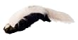 Coleman Super Sized Skunk Tail Dog Toy