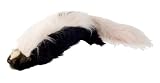 Coleman Super Sized Skunk Tail Dog Toy