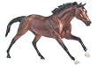 Breyer Barbaro Limited