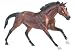 Breyer Barbaro Limited