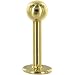 14 Gauge Solid 14KT Yellow Gold Labret - 3/8" 5mm