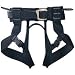 Sporting Goods : Alpine Bod Harness by Black Diamond