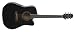 Takamine ES31C Jasmine Cutaway Acoustic Electric Guitar (Black)