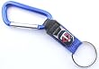 Minnesota Twins Carabiner Key Chain