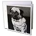   - Dogs Pug - Pug, Pugs and Kisses - Greeting Cards-12 Greeting Cards with envelopes