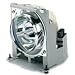 ViewSonic RLC-034 - Projector lamp