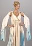 Greek Goddess Roman Toga Halloween Costume