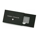 PIERRE COULEUR ポイントカラーS シルバーフロスト 2.5g 画像