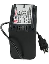 Sony DCR-SR62E PAL 30GB Hard Disk Drive Handycam Camcorder + Deluxe Accessory Kit
